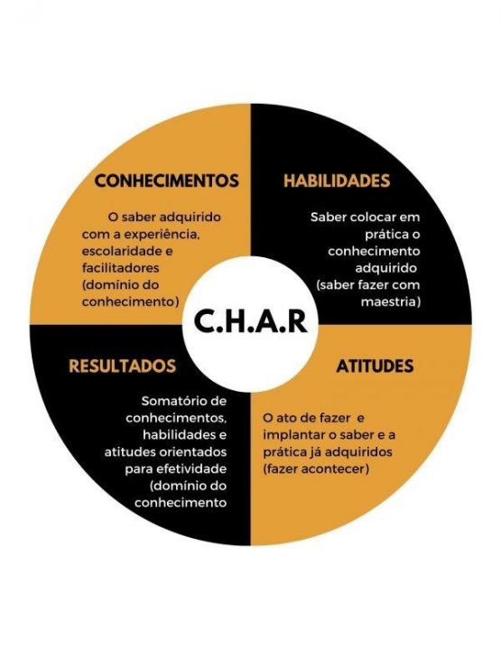 METODOLOGIA C.H.A.R. – PHMP